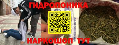 экстази Кингисепп