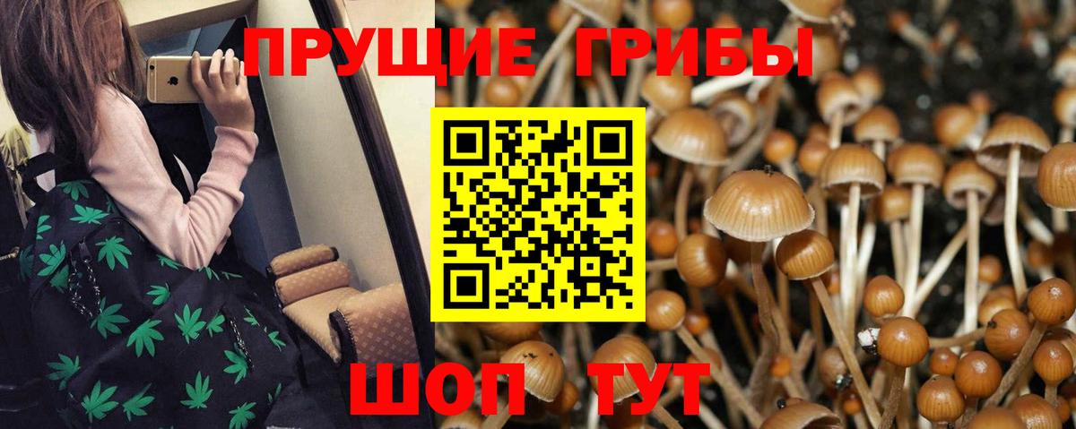 Кировск  Галлюциногенные грибы мухоморы  Вход с VPN 